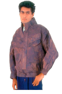 fj10.gif (27376 bytes)