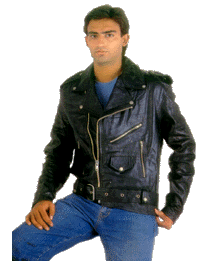 fj13.gif (25021 bytes)