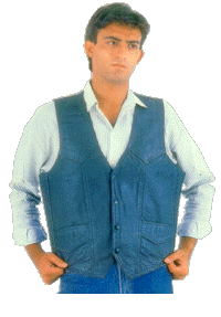 fj21.gif (27370 bytes)