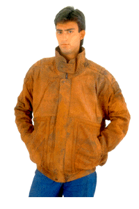 fj5.gif (23958 bytes)