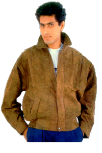 fj6.gif (29314 bytes)