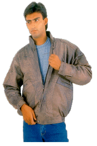 fj7.gif (27500 bytes)