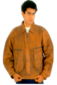 fj8.gif (28650 bytes)