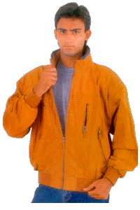 fj9.gif (27012 bytes)