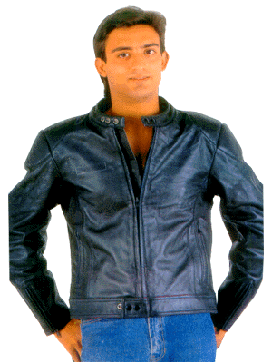 pic3.gif (59916 bytes)