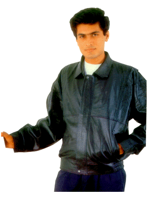 pic6.gif (42568 bytes)