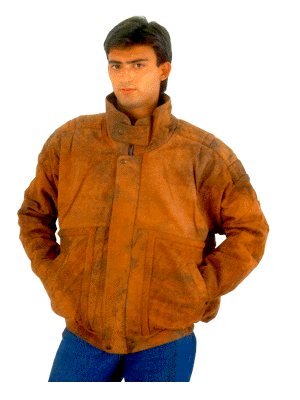 pic7.gif (42731 bytes)